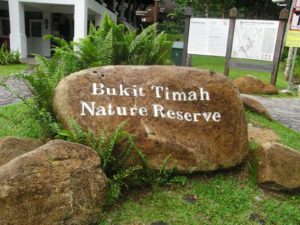 Bukit Timah Nature Reserve