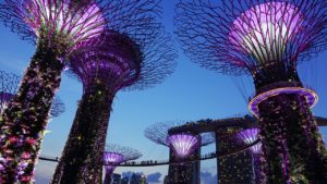 Garden by the bay