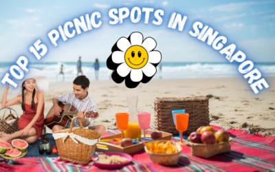 Top 15 Picnic Spots in Singapore for a Perfect Day Out