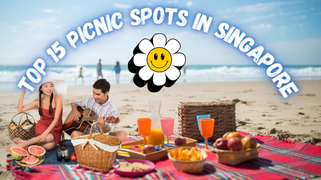 Top 15 Picnic Spots in Singapore for a Perfect Day Out